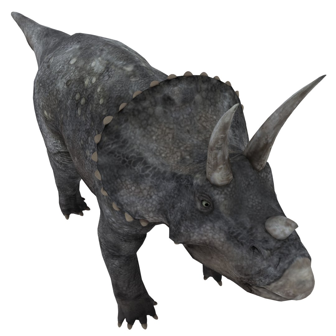 dinosaur 3D model https://p.turbosquid.com/ts-thumb/Zp/I0FyDb/yv4aoGbv/triceratops_07/png/1517852197/1920x1080/fit_q87/45c12d0e3bf6dbf0563c60c4708b61afeac4036c/triceratops_07.jpg