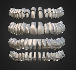 Dental Anatomy Library with Thimble Crowns - Azure