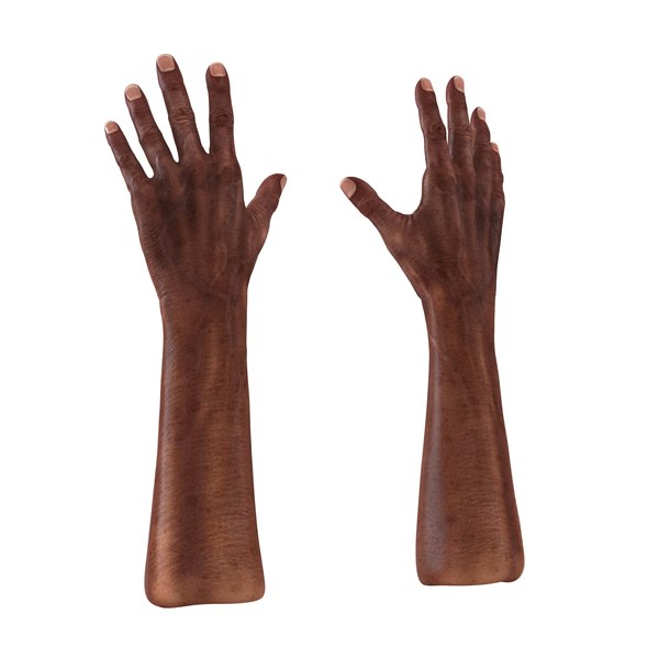 3d model old african man hands