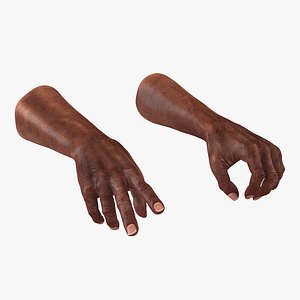 Old African Man Hands 2 Rigged