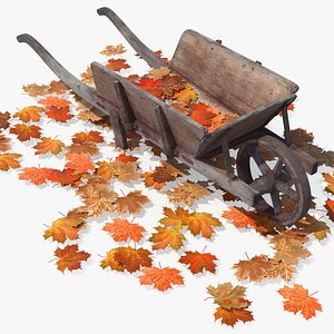 Old Wheelbarrow and Leaves