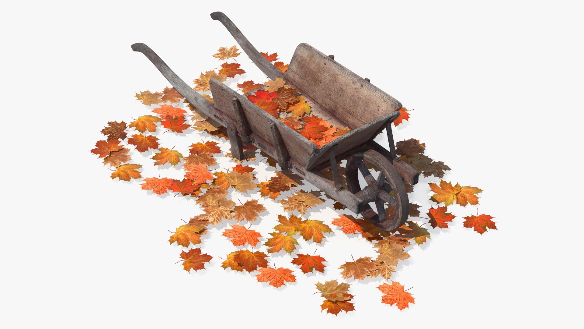 Old Wheelbarrow and Leaves 3D model preview