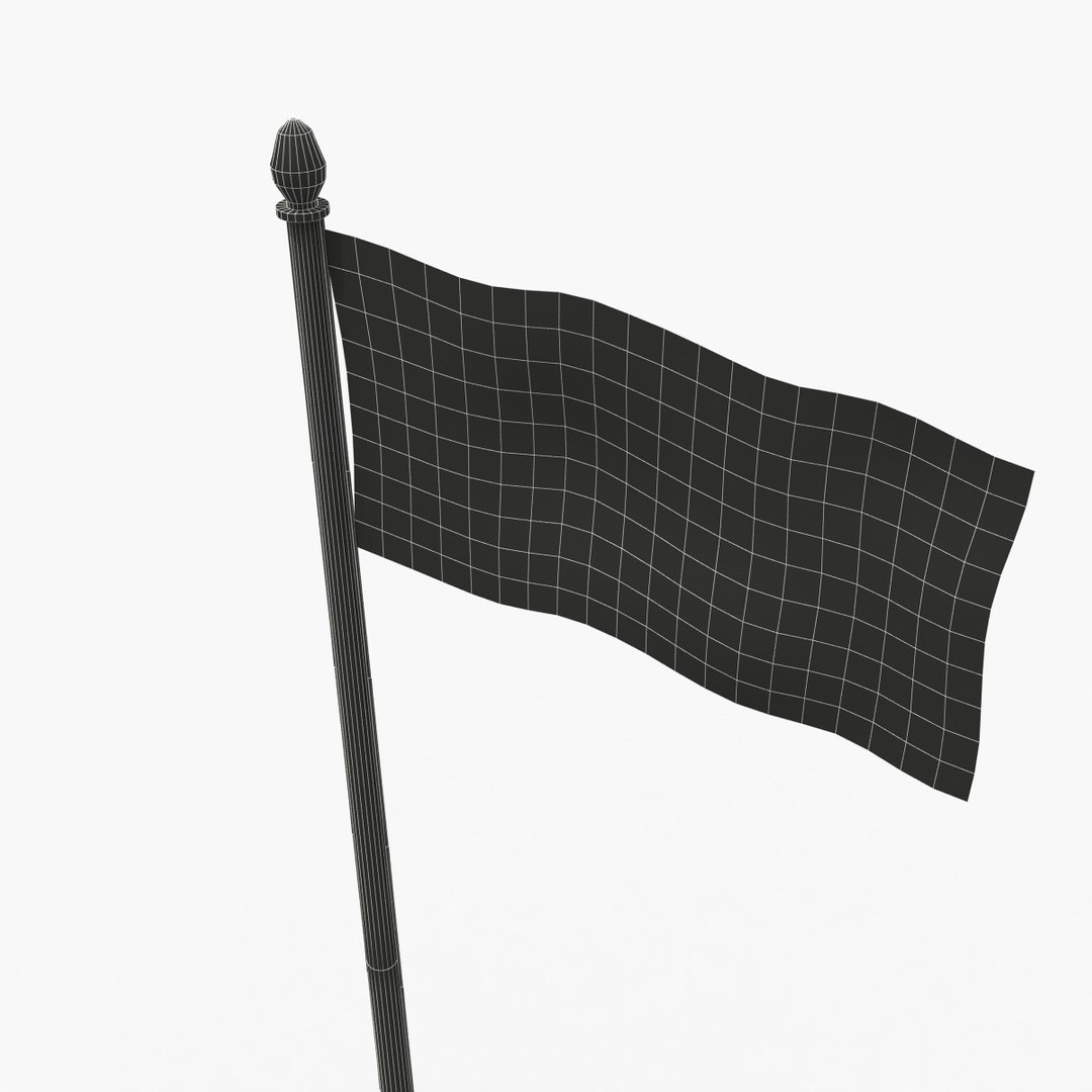3d Model Modeled Flag