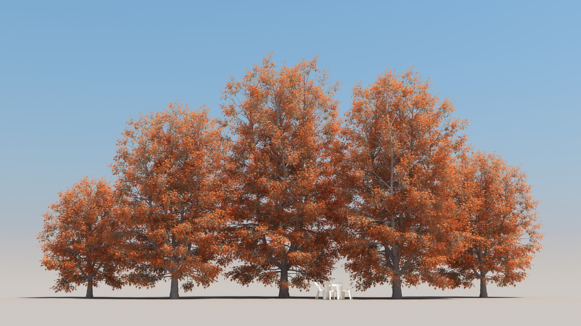 3D Summer Sugar Maple Tree Model - TurboSquid 1681878
