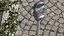 Digital Parking Meters Collection