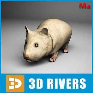 Hamster v1 by 3DRivers