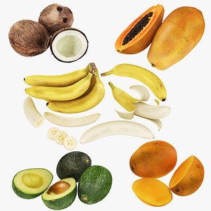 Tropical Fruit -  Fleshy Tropics 3D model