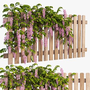 wisterial plant 3D