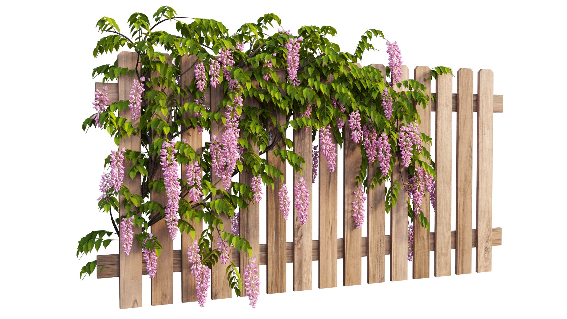 wisterial plant 3D https://p.turbosquid.com/ts-thumb/Zq/gGWibM/Mw/7_interactivelightmix/png/1608353357/1920x1080/fit_q87/0cba1361f065f2cb098d324807de5ed98bc8fd81/7_interactivelightmix.jpg