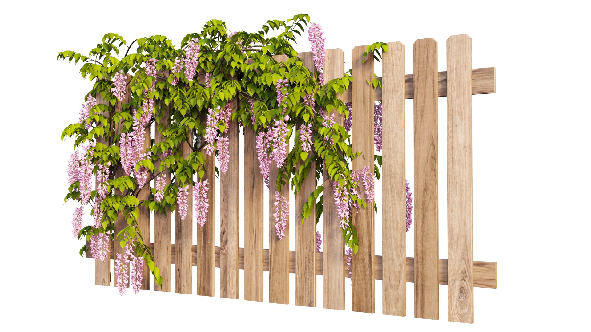 wisterial plant 3D https://p.turbosquid.com/ts-thumb/Zq/gGWibM/XE/8_interactivelightmix/png/1608353358/1920x1080/fit_q87/4c6d447318791b6cb82c945d4f18dd859bb64334/8_interactivelightmix.jpg