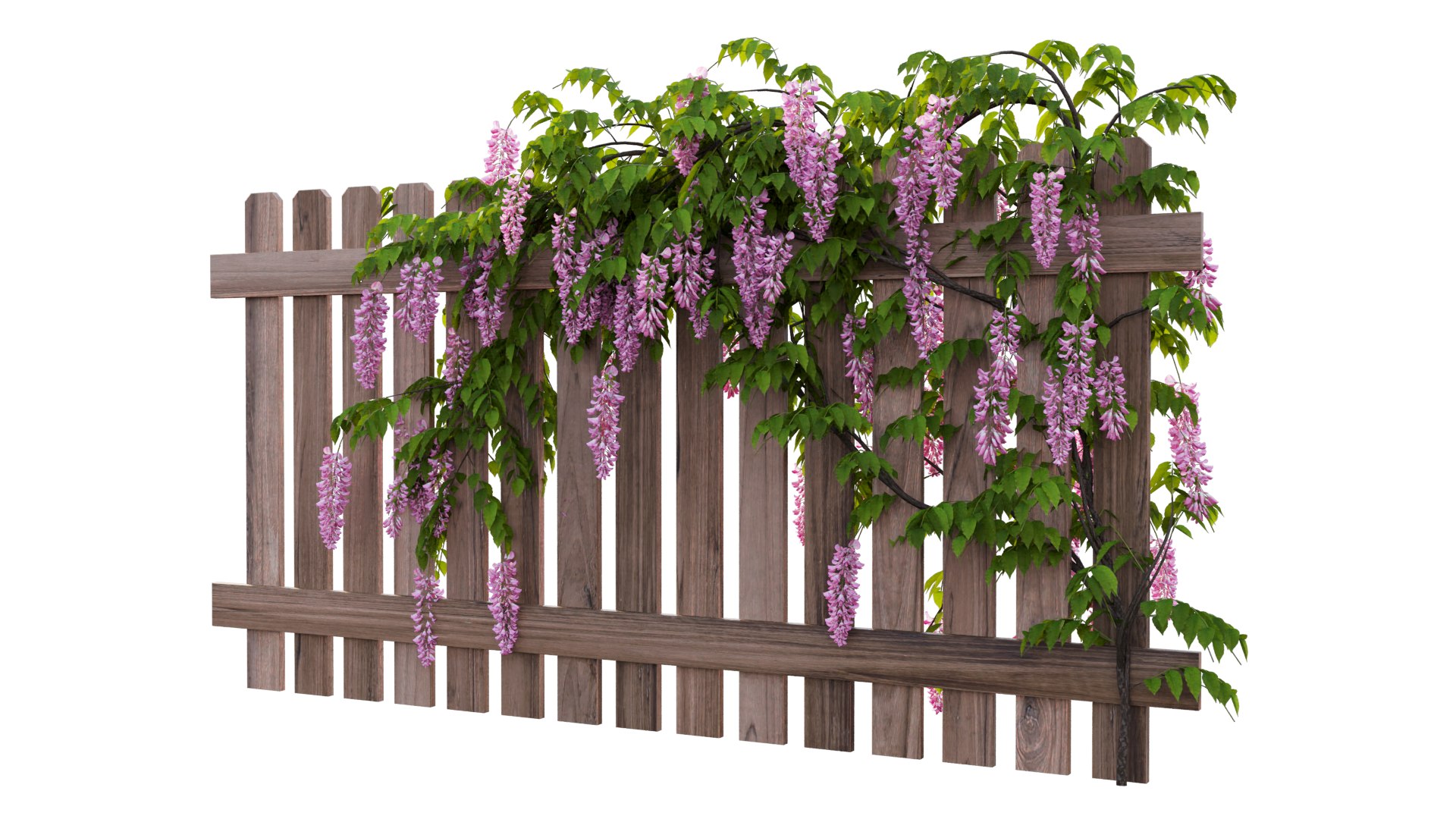 wisterial plant 3D https://p.turbosquid.com/ts-thumb/Zq/gGWibM/xc/9_interactivelightmix/png/1608353358/1920x1080/fit_q87/e1c0f5d44c4c492d0c3b18e66ad2f6cf23c47f78/9_interactivelightmix.jpg