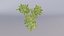 Raspberry Thicket Kit
