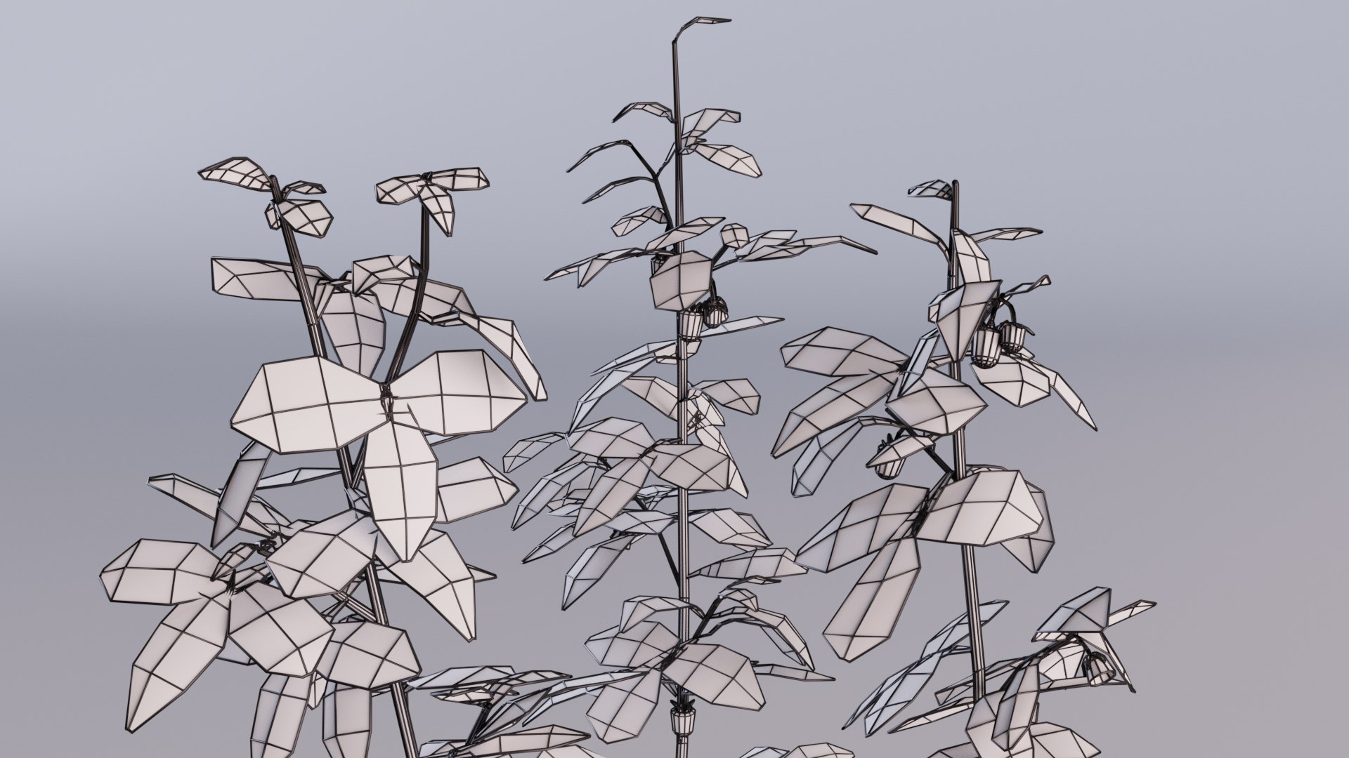 raspberry thicket berry 3D https://p.turbosquid.com/ts-thumb/Zq/nJVzhS/pN/wireframe02/jpg/1616297022/1920x1080/fit_q87/6e20416e879b85da2bd5e3f6091cf8fb8afa70ac/wireframe02.jpg
