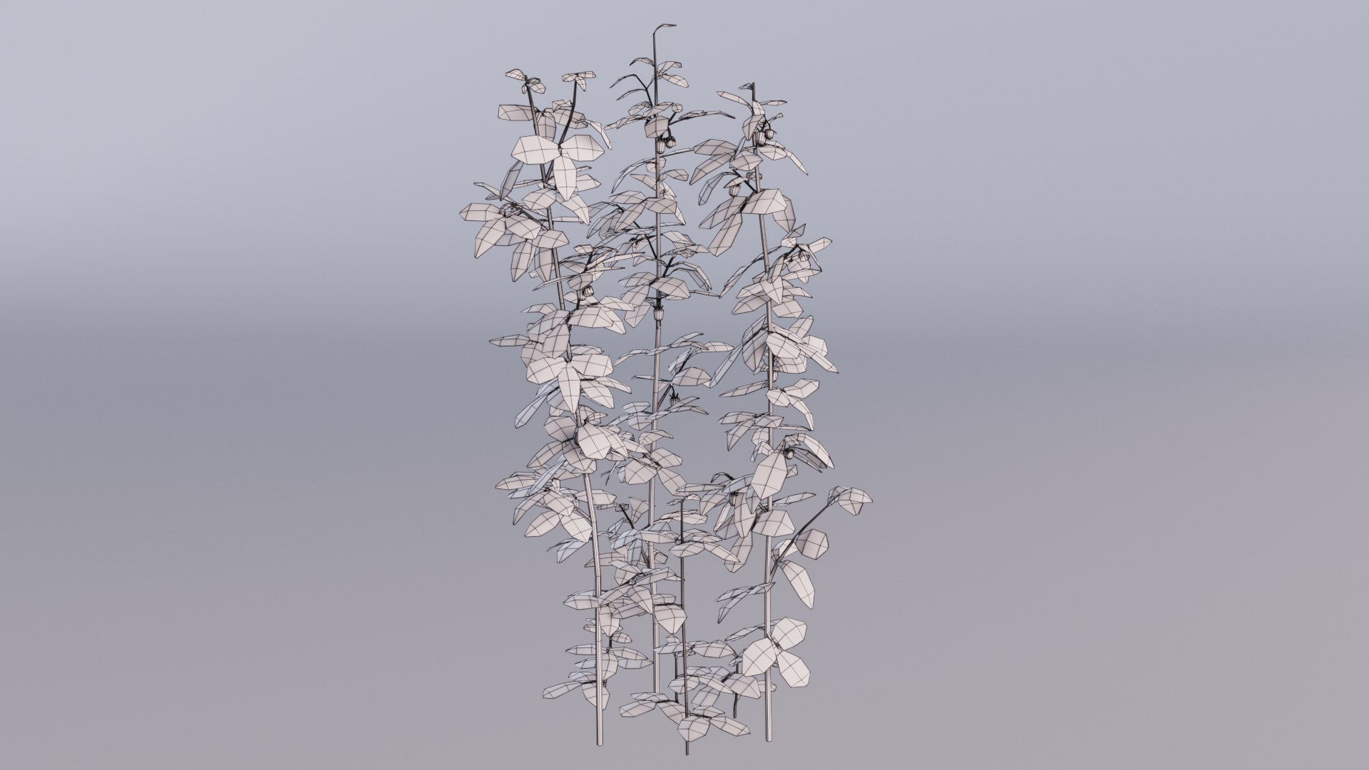 raspberry thicket berry 3D https://p.turbosquid.com/ts-thumb/Zq/nJVzhS/uf/wireframe01/jpg/1616297021/1920x1080/fit_q87/5b6014213a91c8064257e927ac29e2291008e301/wireframe01.jpg