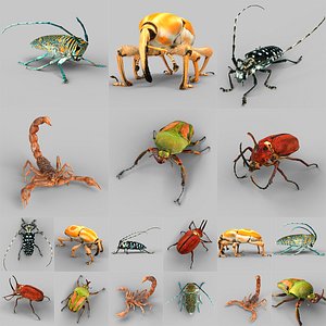3d model insect calloplophora sollii