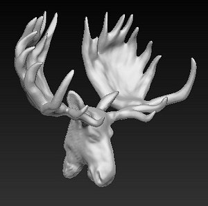 trophy moose head 3d obj