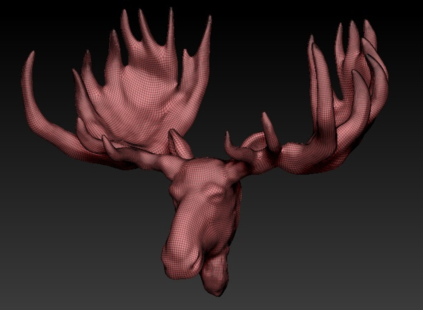 trophy moose head 3d obj https://p.turbosquid.com/ts-thumb/Zq/zPXsu3/ZGPNTONB/03/jpg/1454925050/1920x1080/fit_q87/e9cf9a139127192aa3f67fe960ed24713522114b/03.jpg