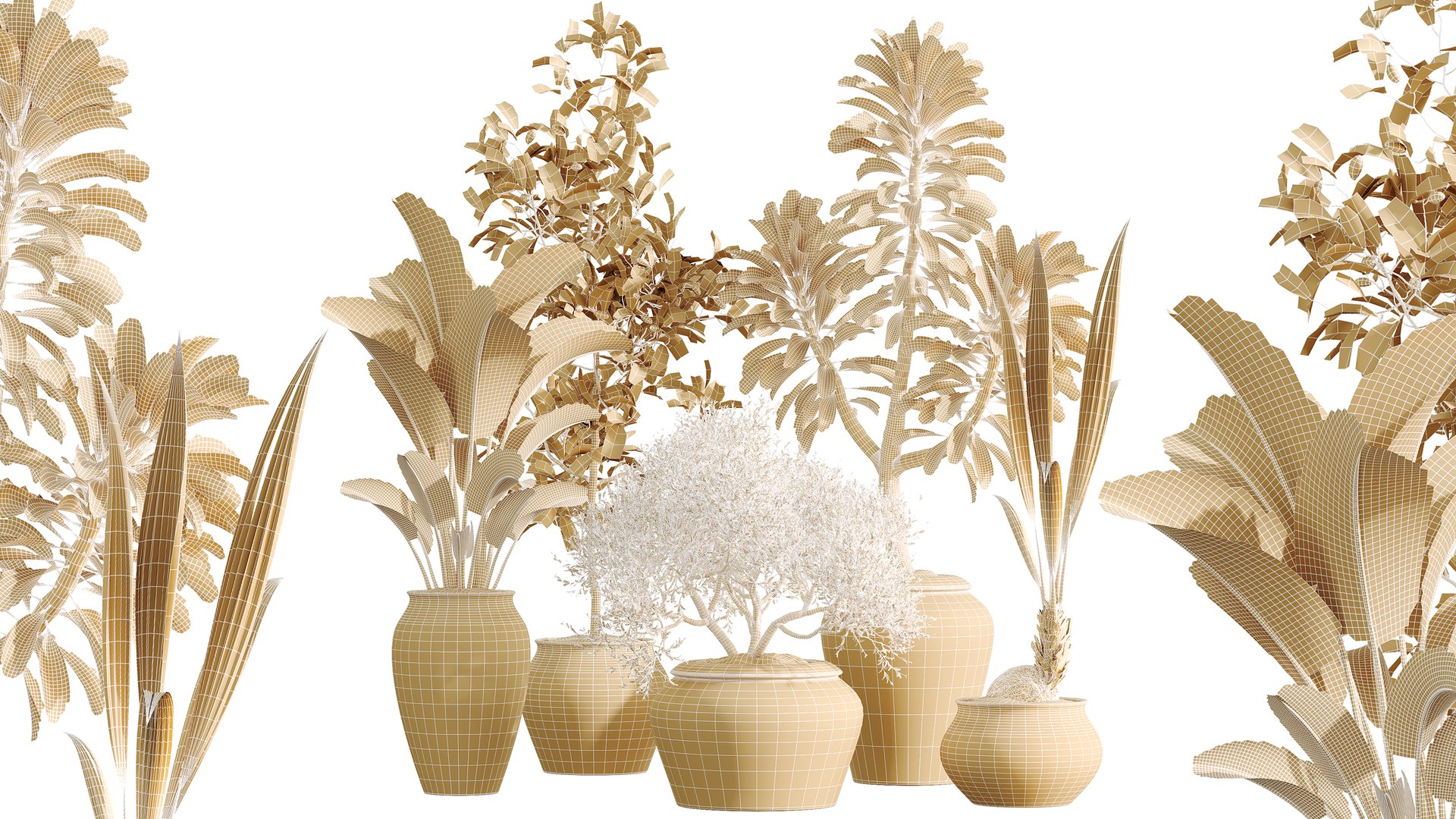 3D AV Indoor Plants Set 493 Coconut Palm Euphorbia Drupifera Olive Banana Briful https://p.turbosquid.com/ts-thumb/Zr/BTHGho/jd/07/png/1784632753/1920x1080/fit_q87/f46fc329e817b4ad0d630193013d770680ad41a7/07.jpg