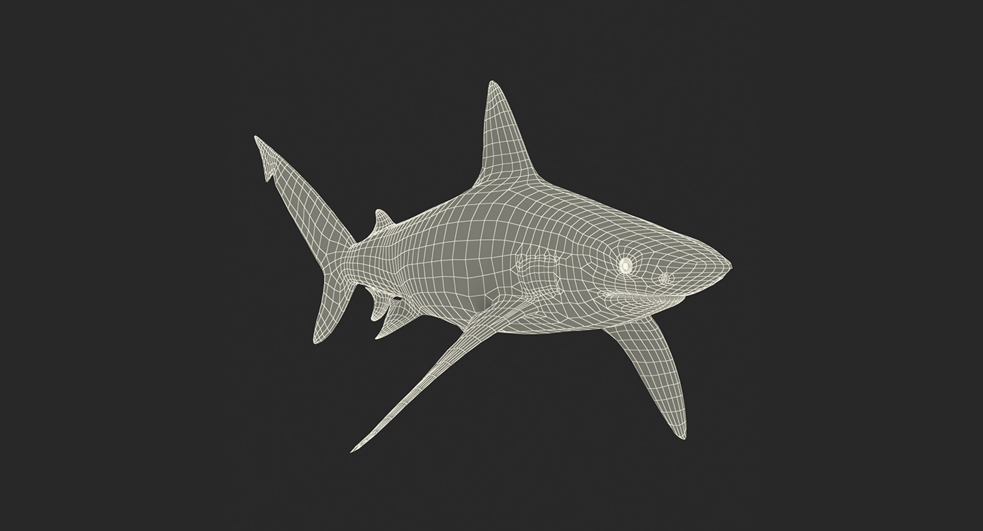 Rigged sharks 4 model - TurboSquid 1514074