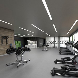 Modern Gym
