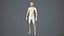Realistic Human Man Scan and Rig - 040MBody 4096