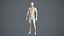 Realistic Human Man Scan and Rig - 040MBody 4096