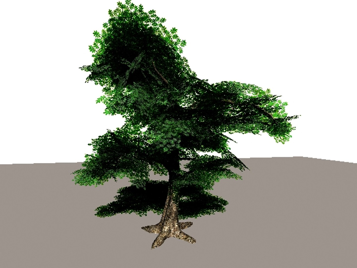 deciduous 3d max https://p.turbosquid.com/ts-thumb/Zr/KDKoN3/QUvhFOdo/5/jpg/1185150816/1920x1080/fit_q87/7496669c4a8b5d9bb884453b40198aeaba19825c/5.jpg