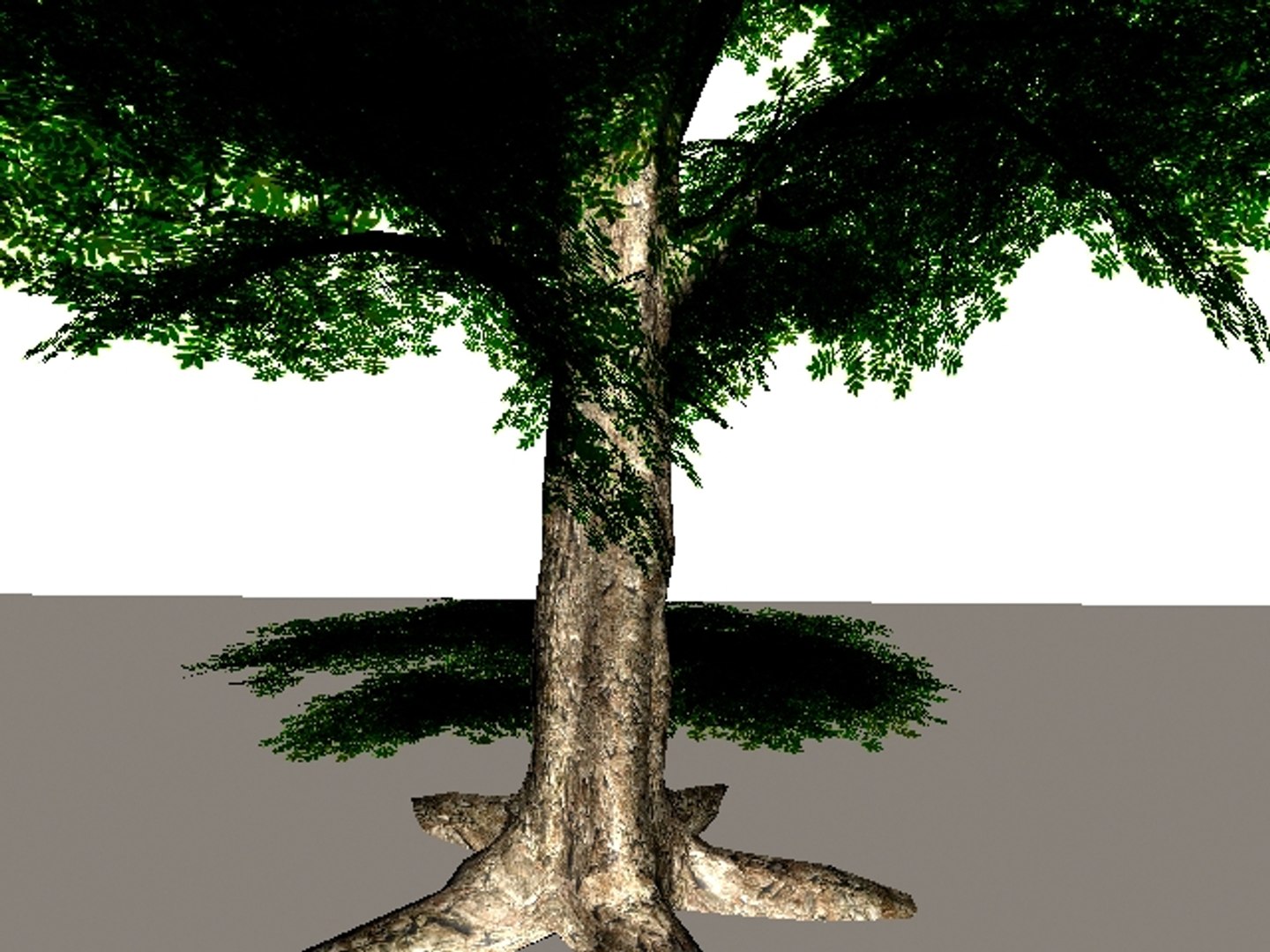 deciduous 3d max https://p.turbosquid.com/ts-thumb/Zr/KDKoN3/pvG47rD0/2/jpg/1185149576/1920x1080/fit_q87/237ea8a029ca87011696f42cfe6f466470b47d12/2.jpg