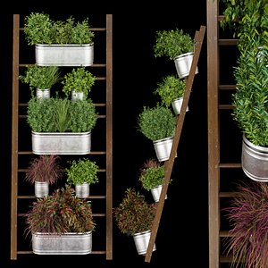 Collection plant vol 250 - Indoor - balcony - ampelous - hanging - 3dmax - fbx - obj