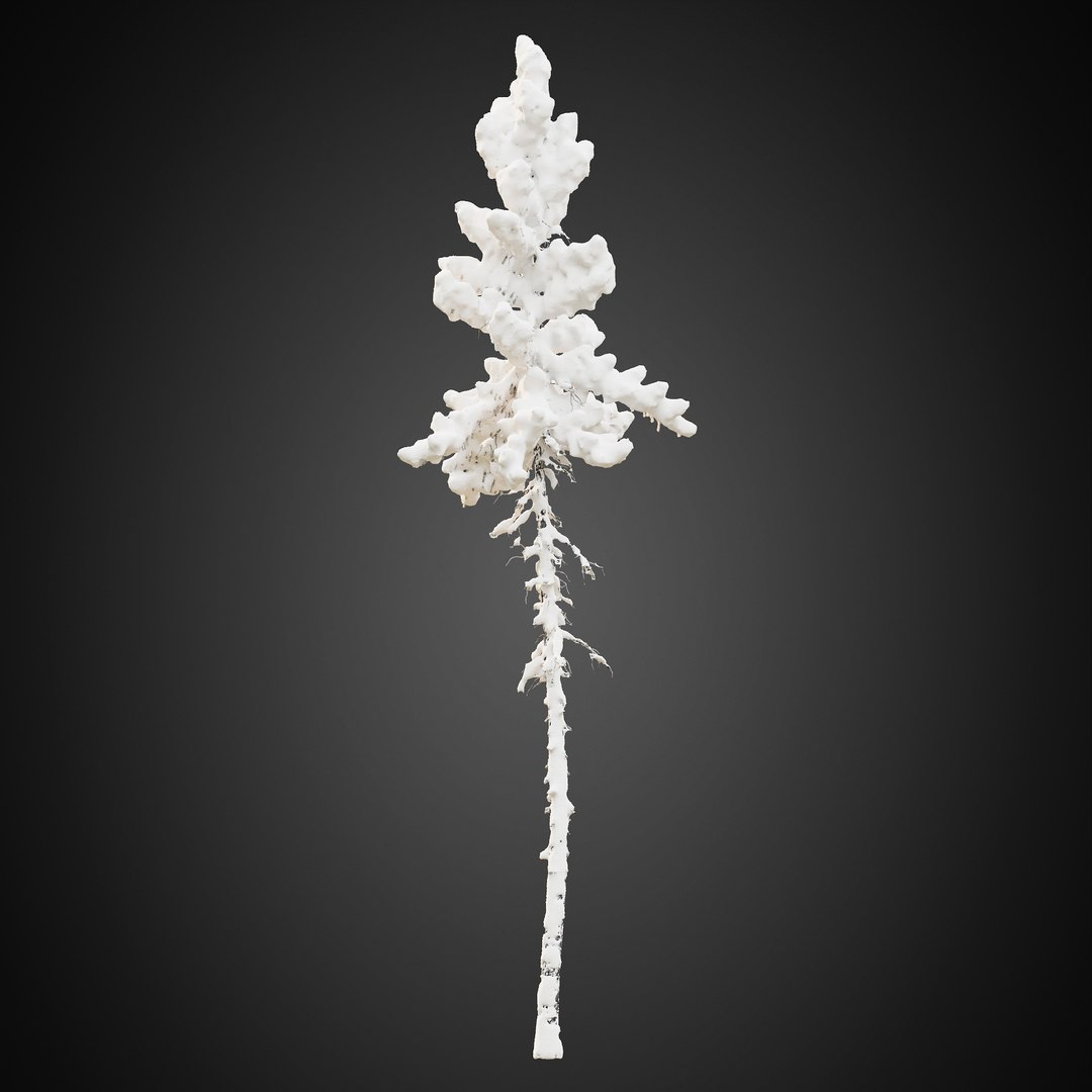 3D HeliosVegetation vol9  Winter Norway Spruce https://p.turbosquid.com/ts-thumb/Zr/asJSKU/4X/chvol9_16/jpg/1635696649/1920x1080/fit_q87/ecb81a2b49ab9c27e120b639914481d8ced4dbba/chvol9_16.jpg