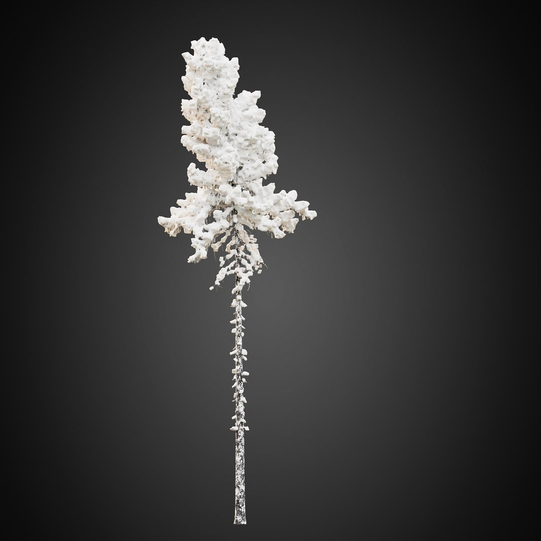 3D HeliosVegetation vol9  Winter Norway Spruce https://p.turbosquid.com/ts-thumb/Zr/asJSKU/8V/chvol9_14/jpg/1635696649/1920x1080/fit_q87/a6215aa35940158ef80006e5a020abba8c6c690a/chvol9_14.jpg