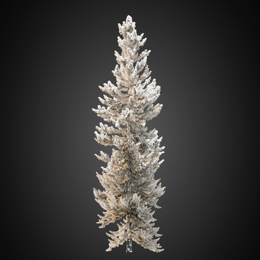 3D HeliosVegetation vol9  Winter Norway Spruce https://p.turbosquid.com/ts-thumb/Zr/asJSKU/Cb/chvol9_07/jpg/1635696769/1920x1080/fit_q87/550ce487ef056a3dbb009a01ad252c06d336a40f/chvol9_07.jpg