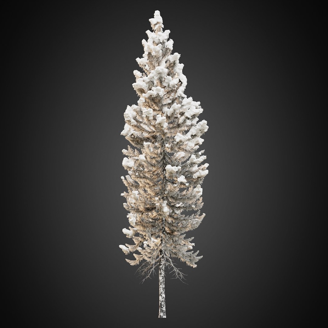 3D HeliosVegetation vol9  Winter Norway Spruce https://p.turbosquid.com/ts-thumb/Zr/asJSKU/DS/chvol9_09/jpg/1635696751/1920x1080/fit_q87/30972ae7445a74b13064e1a5fc1386be6ac372b6/chvol9_09.jpg