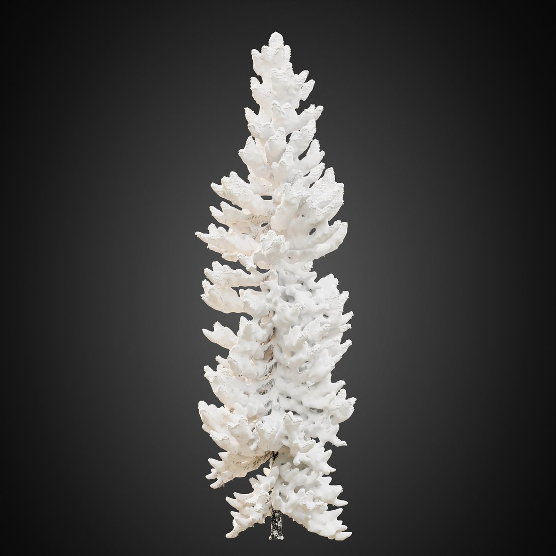 3D HeliosVegetation vol9  Winter Norway Spruce https://p.turbosquid.com/ts-thumb/Zr/asJSKU/Fh/chvol9_08/jpg/1635696709/1920x1080/fit_q87/c2bfef18b239398217c6797e0f01a3f8374104d6/chvol9_08.jpg