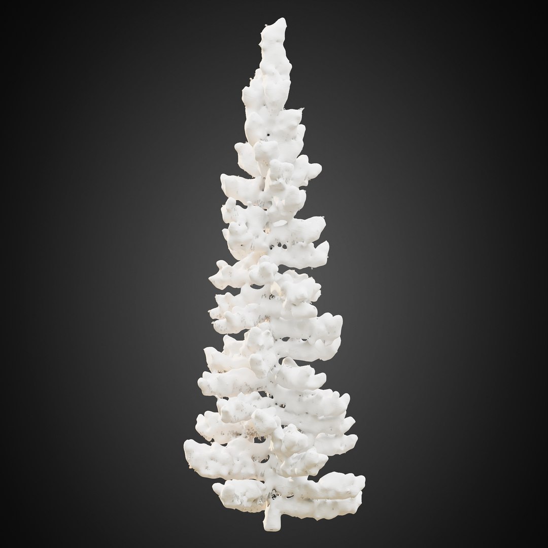 3D HeliosVegetation vol9  Winter Norway Spruce https://p.turbosquid.com/ts-thumb/Zr/asJSKU/Oq/chvol9_02/jpg/1635696672/1920x1080/fit_q87/ea1157a5933ca76cb09bf60740873b765245c897/chvol9_02.jpg