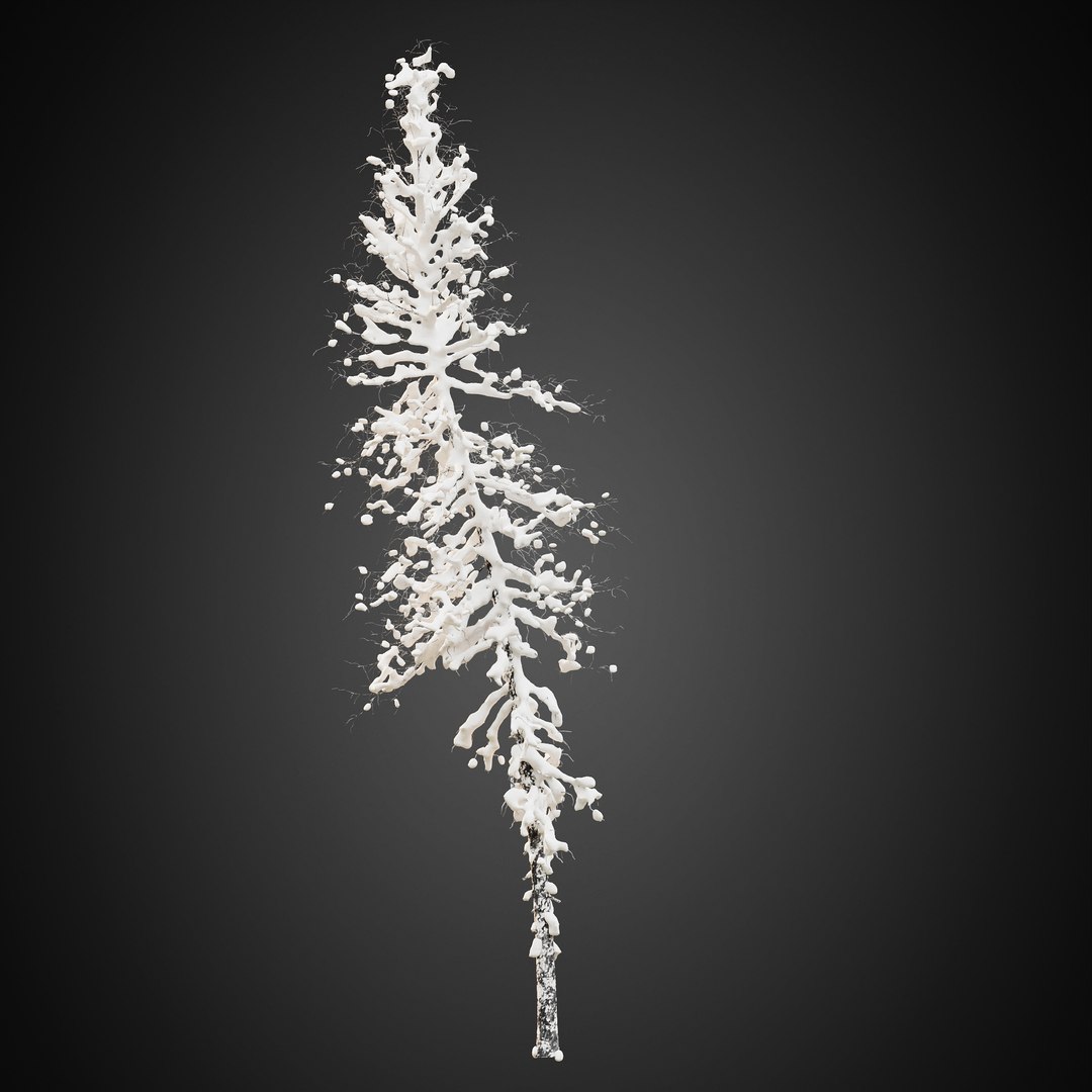 3D HeliosVegetation vol9  Winter Norway Spruce https://p.turbosquid.com/ts-thumb/Zr/asJSKU/Pw/chvol9_18/jpg/1635696708/1920x1080/fit_q87/099301c28ea879386cb9369607256667f6490ce7/chvol9_18.jpg