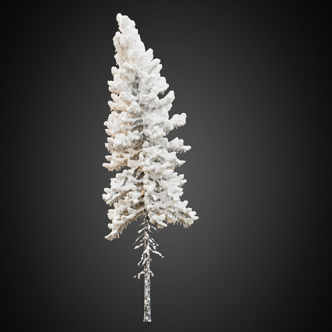 3D HeliosVegetation vol9  Winter Norway Spruce https://p.turbosquid.com/ts-thumb/Zr/asJSKU/Z6/chvol9_12/jpg/1635696690/1920x1080/fit_q87/1d1b22c83d446aa62025b66d04464d3624c9935d/chvol9_12.jpg