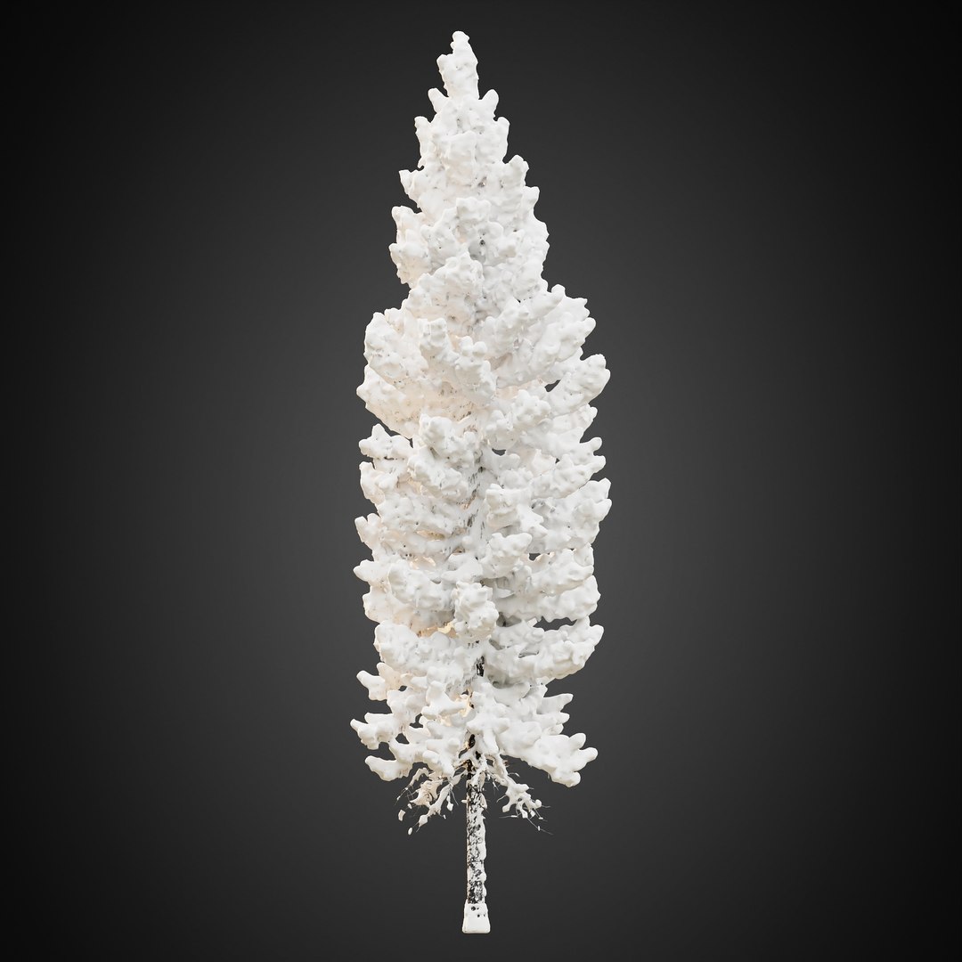 3D HeliosVegetation vol9  Winter Norway Spruce https://p.turbosquid.com/ts-thumb/Zr/asJSKU/g9/chvol9_10/jpg/1635696686/1920x1080/fit_q87/2df44cd4c10af83080f8e81700abf5ea85906568/chvol9_10.jpg