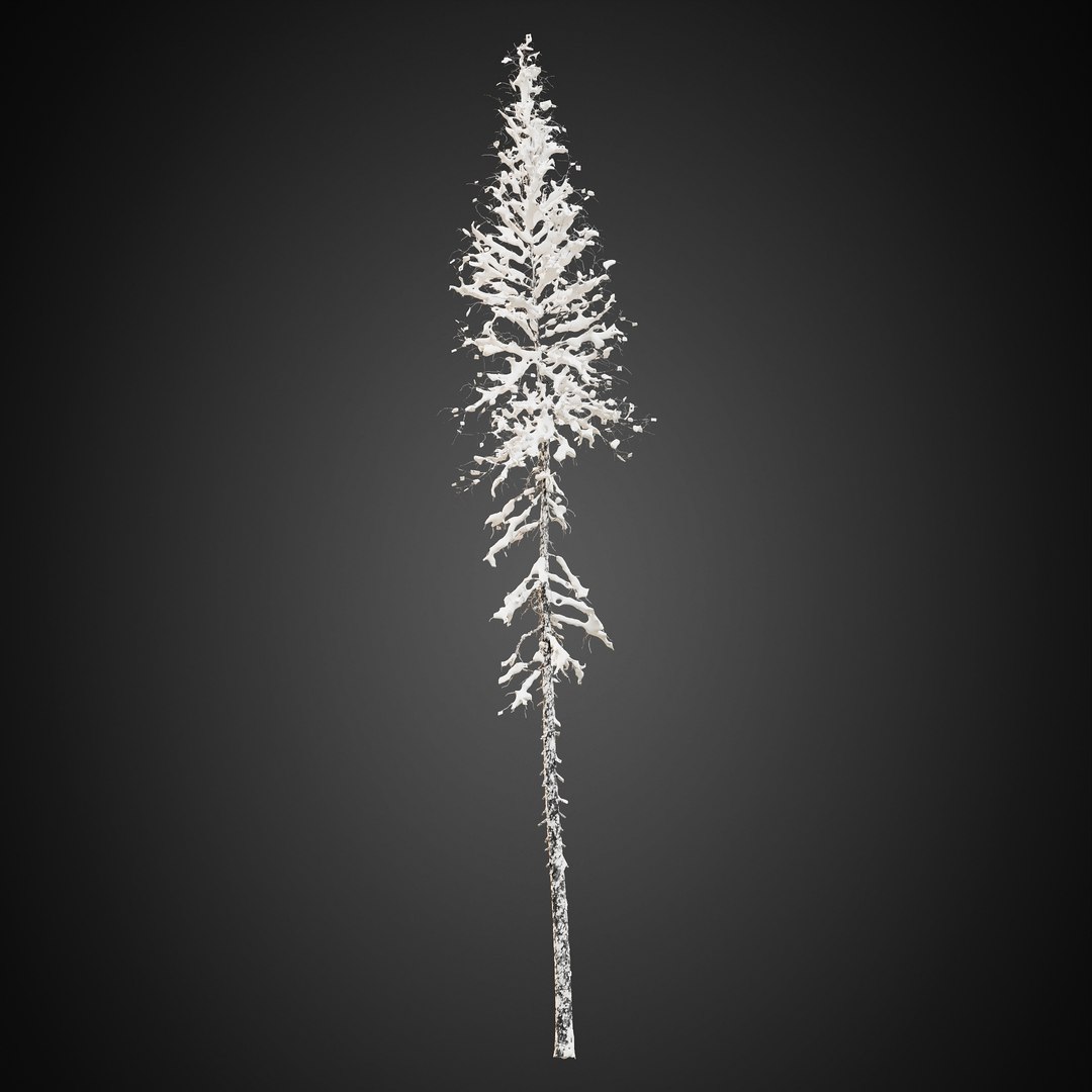3D HeliosVegetation vol9  Winter Norway Spruce https://p.turbosquid.com/ts-thumb/Zr/asJSKU/kQ/chvol9_19/jpg/1635696672/1920x1080/fit_q87/cd81bd32704fa04280b2ae15919641d9323886db/chvol9_19.jpg