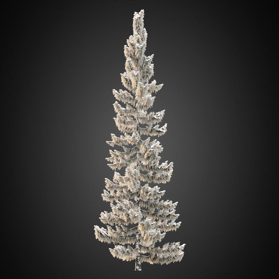 3D HeliosVegetation vol9  Winter Norway Spruce https://p.turbosquid.com/ts-thumb/Zr/asJSKU/lW/chvol9_01/jpg/1635696733/1920x1080/fit_q87/8b5c2da3f1c3de27711a2c0611fd59309f6b35b7/chvol9_01.jpg