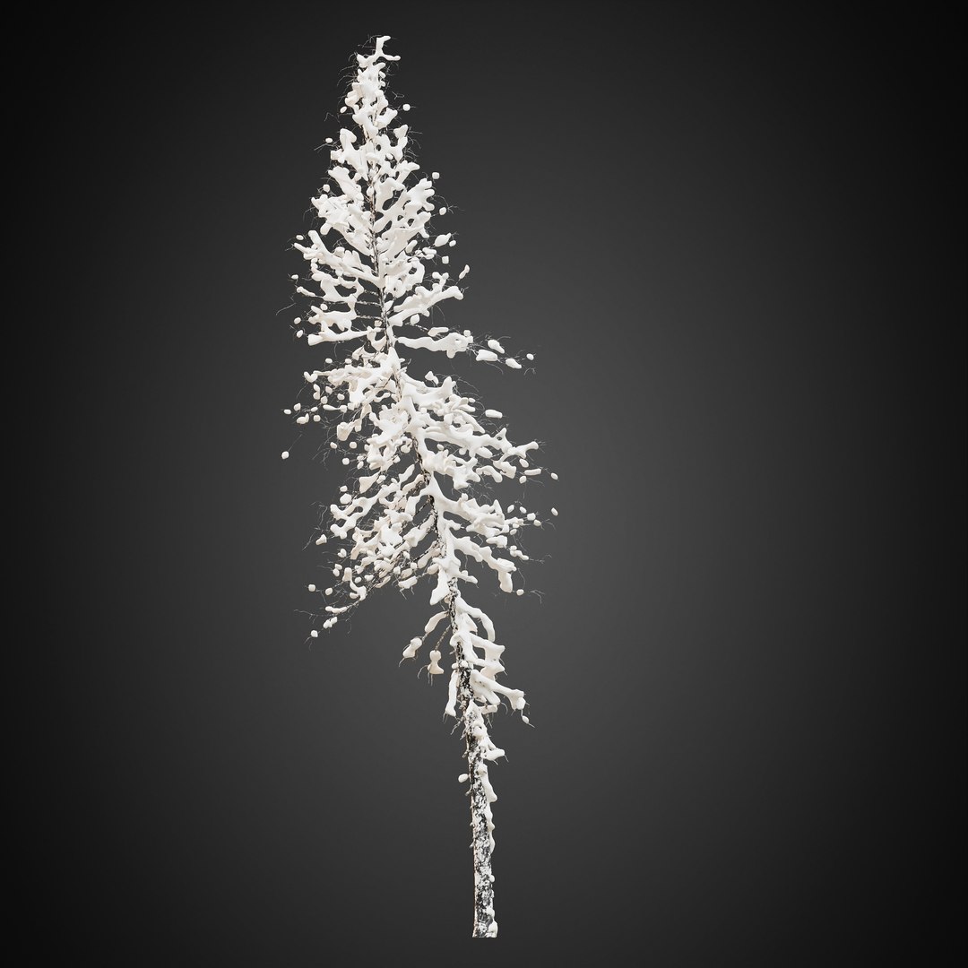 3D HeliosVegetation vol9  Winter Norway Spruce https://p.turbosquid.com/ts-thumb/Zr/asJSKU/ld/chvol9_17/jpg/1635696730/1920x1080/fit_q87/97aa99de93e673f23b6a438ed89416be071c1681/chvol9_17.jpg