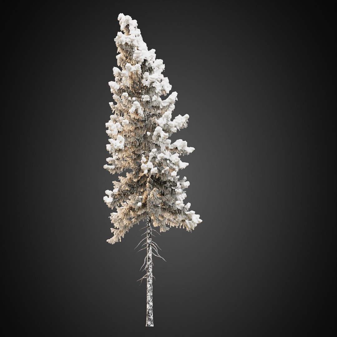 3D HeliosVegetation vol9  Winter Norway Spruce https://p.turbosquid.com/ts-thumb/Zr/asJSKU/mt/chvol9_11/jpg/1635696710/1920x1080/fit_q87/1da7b7b4bc9ecb6ea144a732df25af083b3ce24a/chvol9_11.jpg