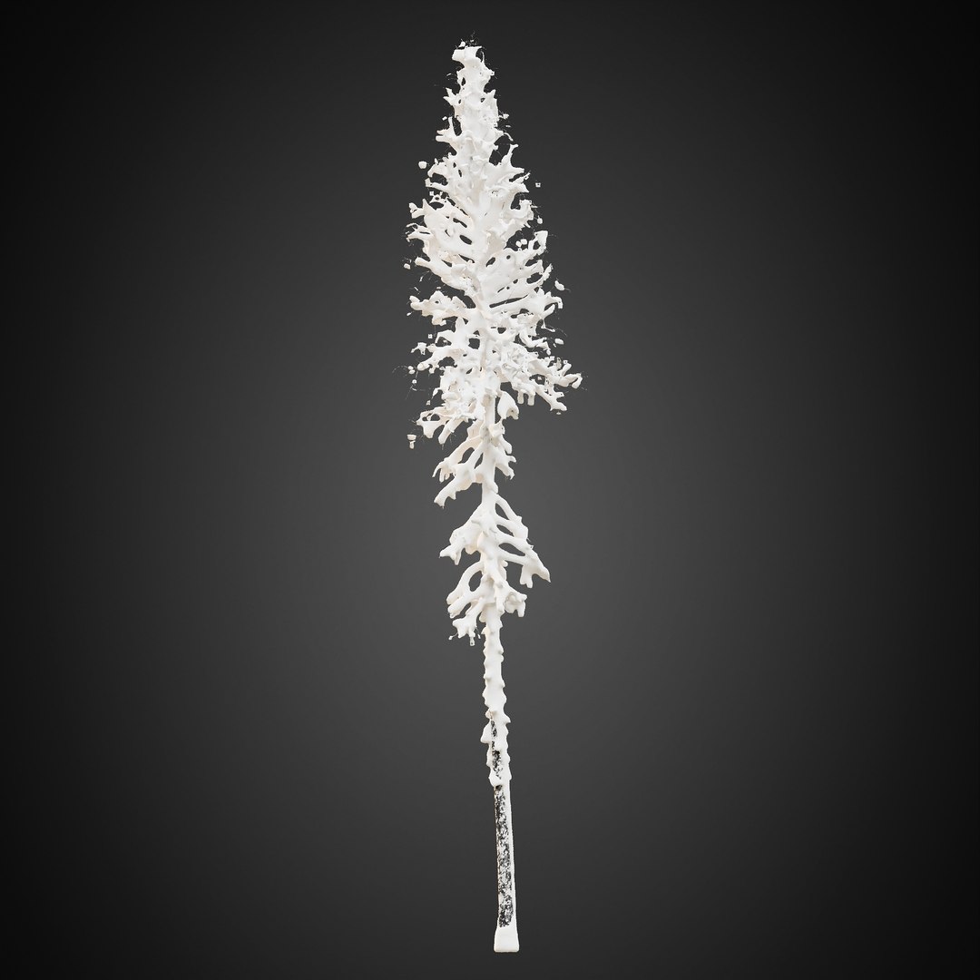 3D HeliosVegetation vol9  Winter Norway Spruce https://p.turbosquid.com/ts-thumb/Zr/asJSKU/nH/chvol9_20/jpg/1635696672/1920x1080/fit_q87/485f8a6625ce2b31c961d3b693ea8d7e5b2f2244/chvol9_20.jpg