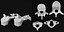 3D human vertebrae set