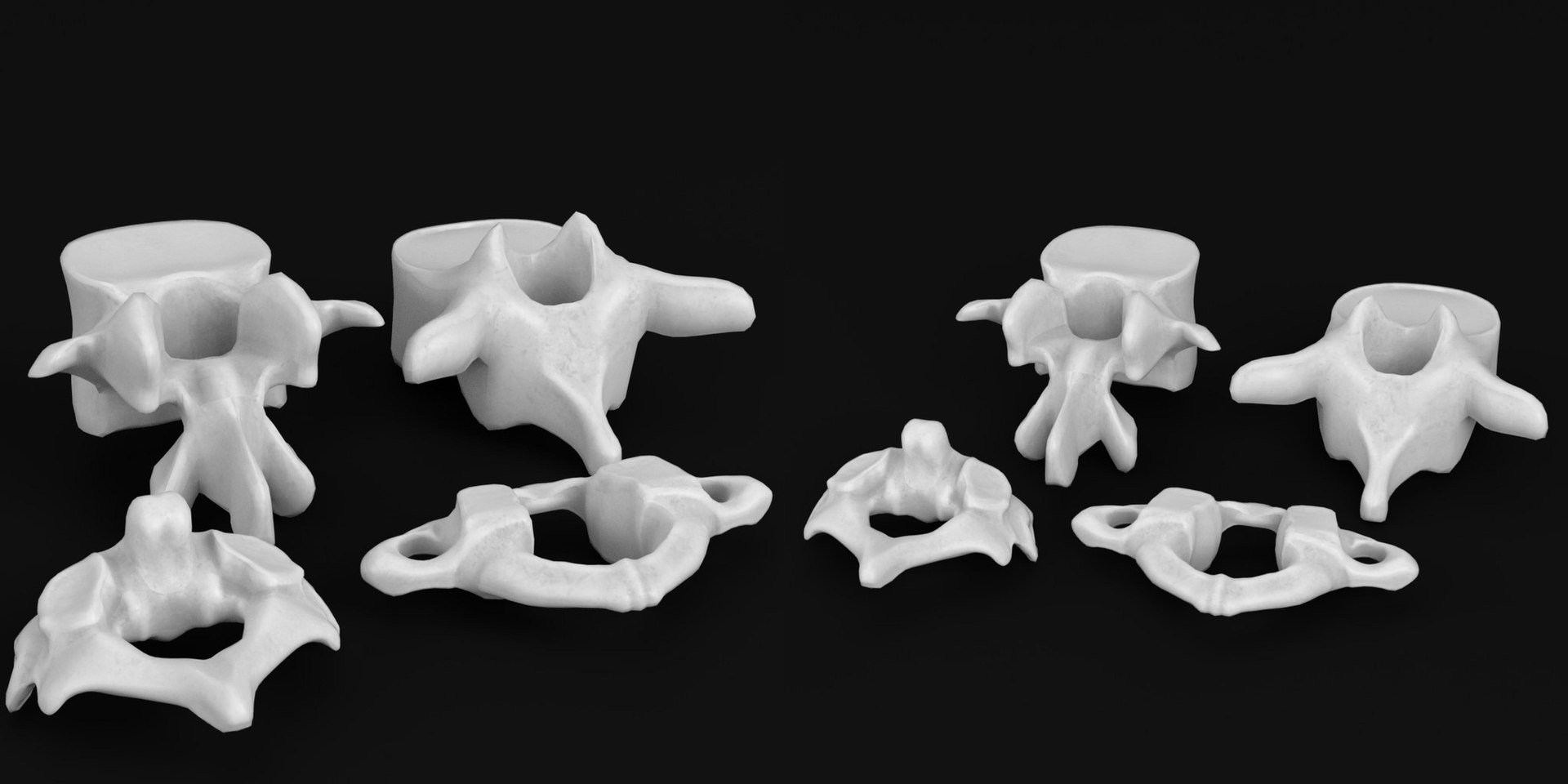 3D human vertebrae set https://p.turbosquid.com/ts-thumb/Zr/azwPRQ/dK/tsanatomy_human_vertebrae_set00/jpg/1640722454/1920x1080/fit_q87/23f76b66226856d53a20e63c3bc23b0cfcfbe3bb/tsanatomy_human_vertebrae_set00.jpg