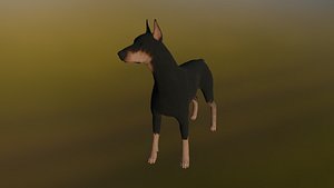 Doberman