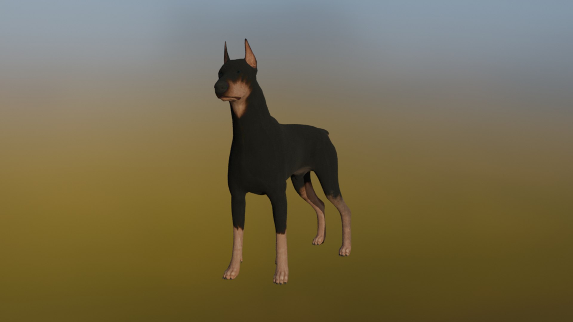 3D Doberman Model - TurboSquid 2311992