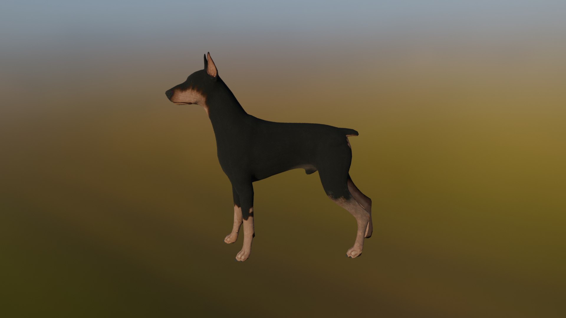 3D Doberman Model - TurboSquid 2311992