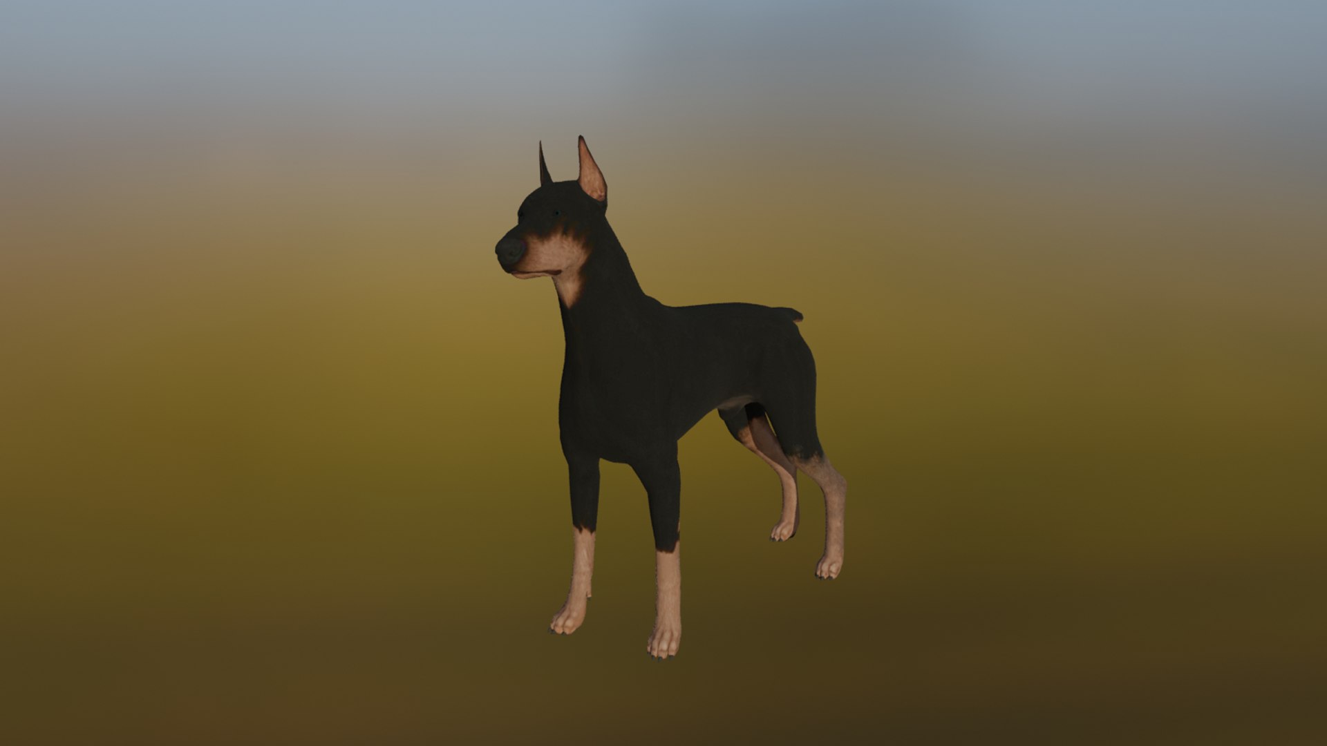 3D Doberman Model - TurboSquid 2311992