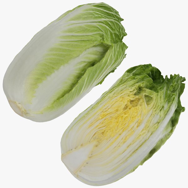 chinese cabbage set model